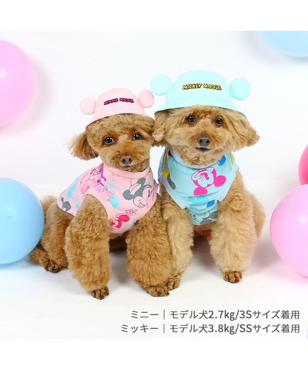 PET PARADISE ディズニー ミッキーマウス バケットハット付き Tシャツ 小型犬 ブルー