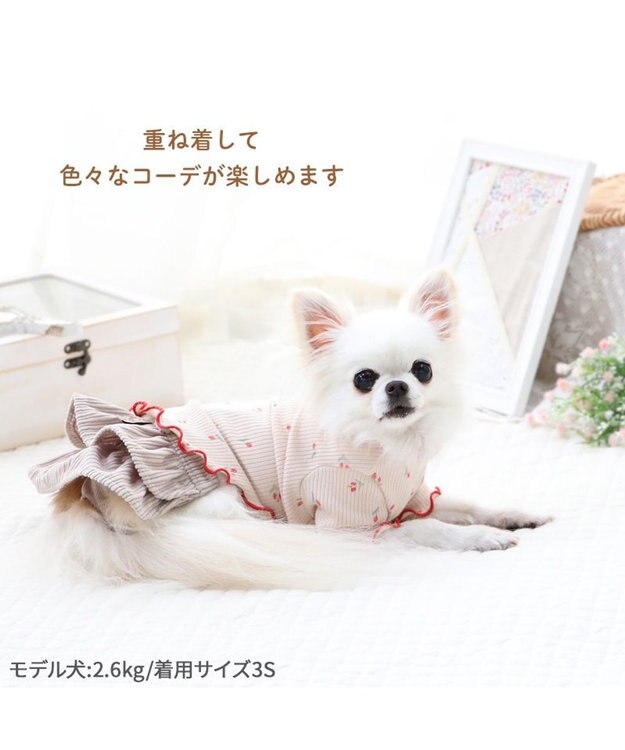 PET PARADISE ペットパラダイス お花のびのび リブ Tシャツ  小型犬 お花