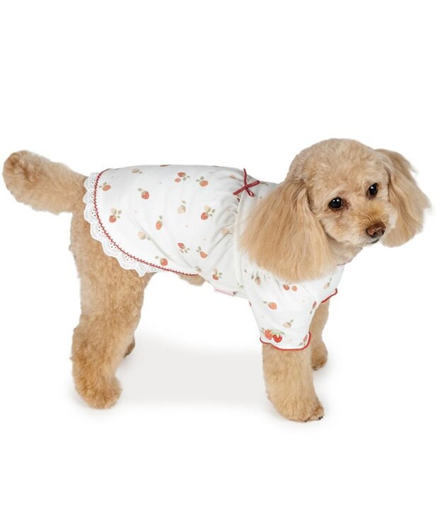 PET PARADISE ペットパラダイス ペティヒート天竺 Tシャツ 《いちご》 超小型犬 小型犬 ホワイト