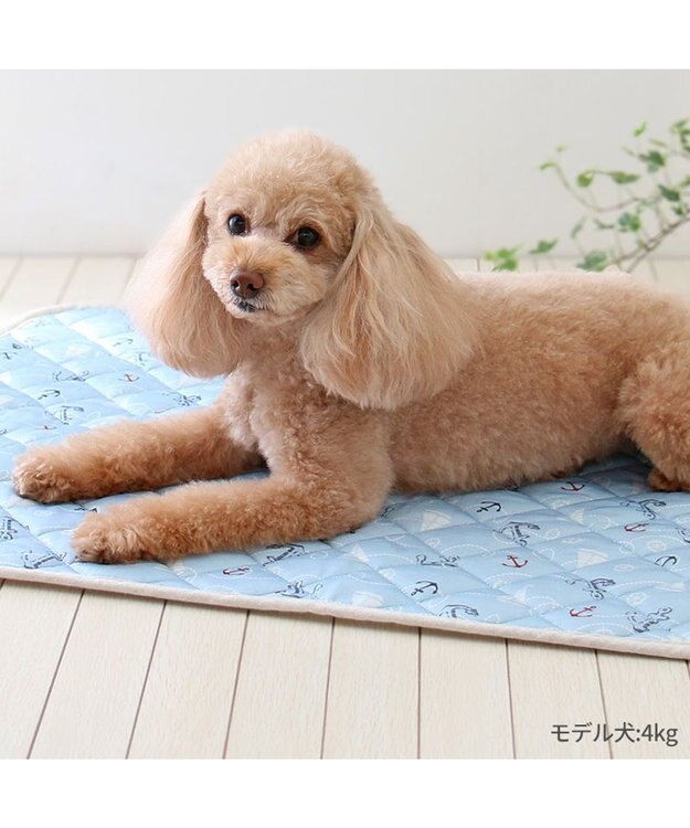 PET PARADISE ペットパラダイス クール マット 《マリン柄》 90×60㎝ マリン柄
