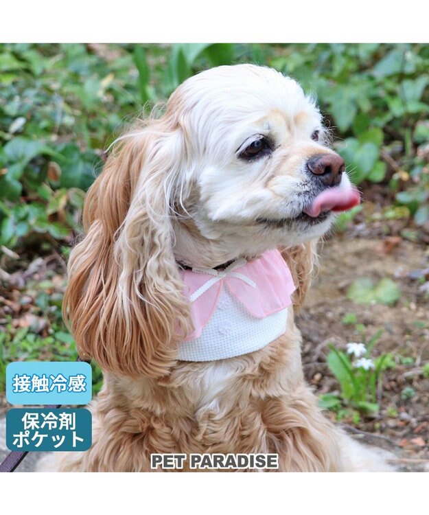 PET PARADISE クールネック バンダナ《 ボタニカル/ しろくま/シフォン襟》 保冷剤付き 【中型犬】【大型犬】 シフォン襟