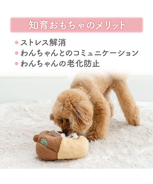 PET PARADISE ディズニー チップとデール どんぐり ボール トイ ブラウン