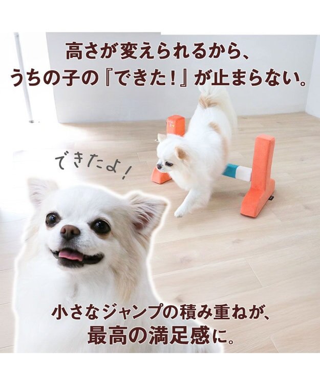 PET PARADISE ペットパラダイス わくわく ハードル トイ オレンジ