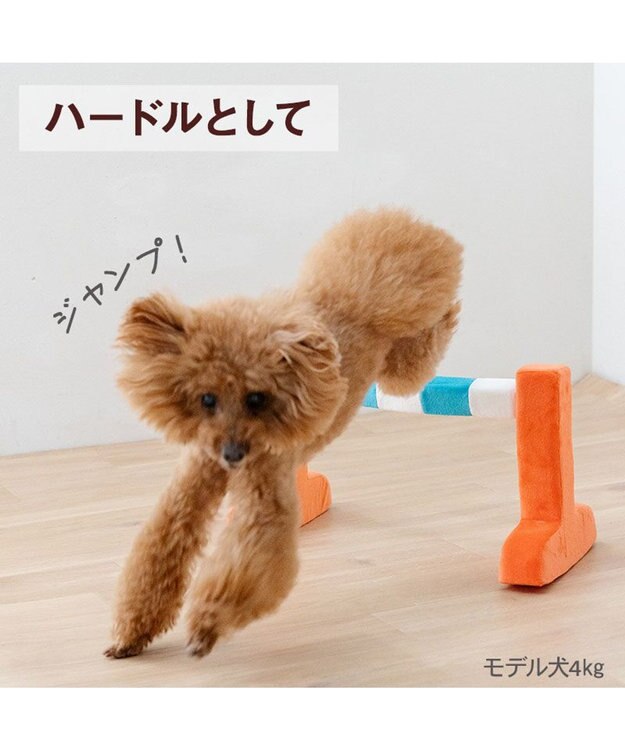 PET PARADISE ペットパラダイス わくわく ハードル トイ オレンジ