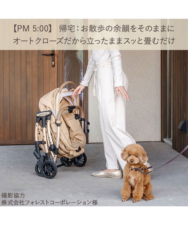 PET PARADISE ペットパラダイス スムーカネオ ３ｗａｙ 《ブラウン》　ペット カート モカ