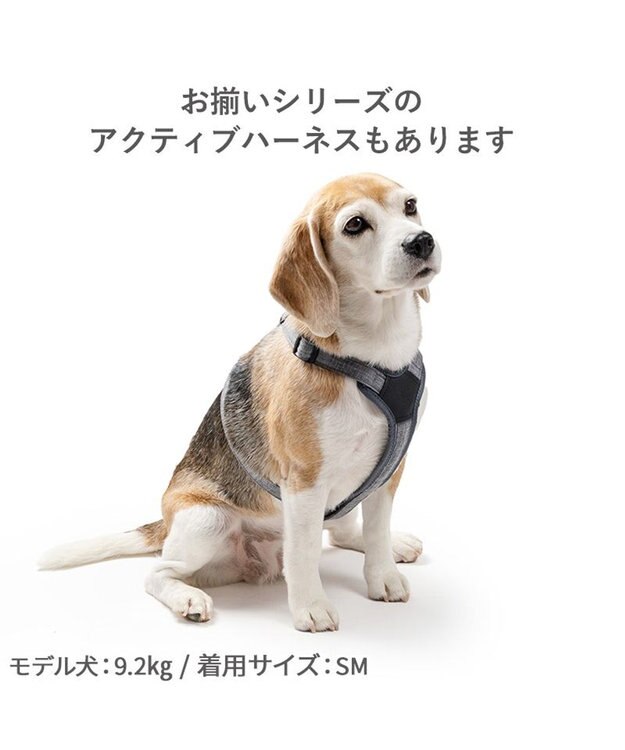 PET PARADISE ペットパラダイス ショルダーリード ＳＭ 中型犬 チャコールグレー