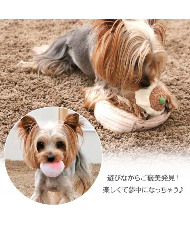 PET PARADISE ペットパラダイス ヤムチャ ノーズワークトイ ベージュ