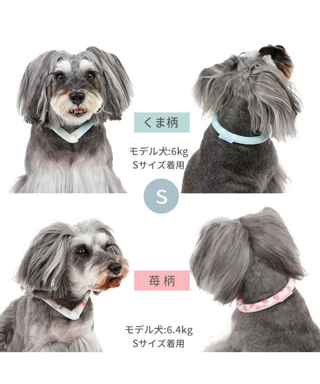 PET PARADISE ペットパラダイス 28℃クールリング SUO 《くま柄》 〔Ｓ〕 小型犬 くまちゃん