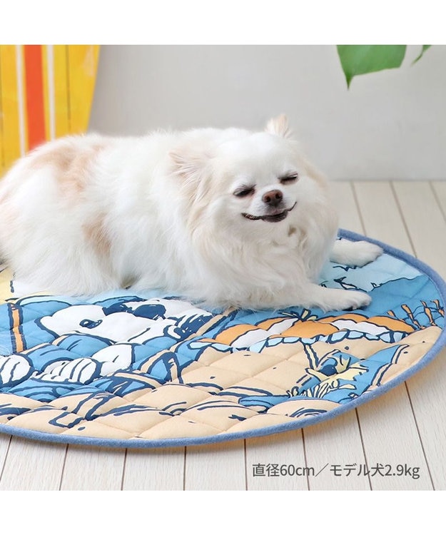 PET PARADISE スヌーピー クールマット 《ビーチ柄》 60cm ビーチ柄