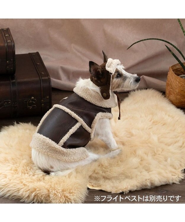 PET PARADISE ペットパラダイス フライトハット 小型犬 ブラウン