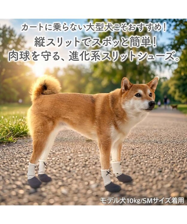 PET PARADISE ペットパラダイス バレエ スリット シューズ  Ｍ -