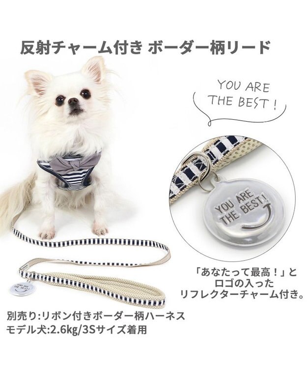 PET PARADISE 犬 リード 【４Ｓ~３Ｓ】 ボーダー 紺（ネイビー・インディゴ）
