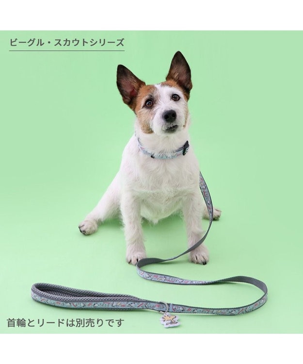 PET PARADISE スヌーピー リード 《ビーグルスカウト》 ＳＳ~Ｓ 小型犬 ビーグルスカウト