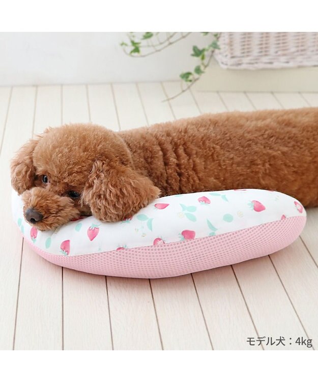 PET PARADISE ペットパラダイス クール ピロー 《いちご＆お花柄》 苺＆お花