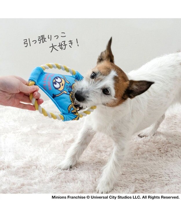 PET PARADISE ミニオン ロープフリスビー トイ ブルー