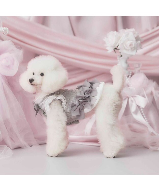 PET PARADISE cherircouture ヘムリボンツイードベスト 《グレー》 小型犬 グレー