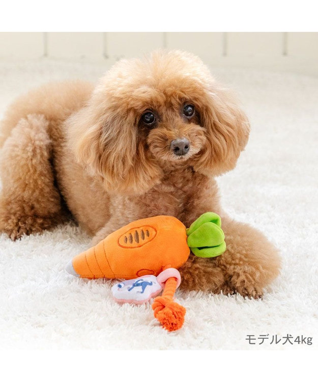 PET PARADISE ディズニー ズートピア にんじんペン トイ オレンジ
