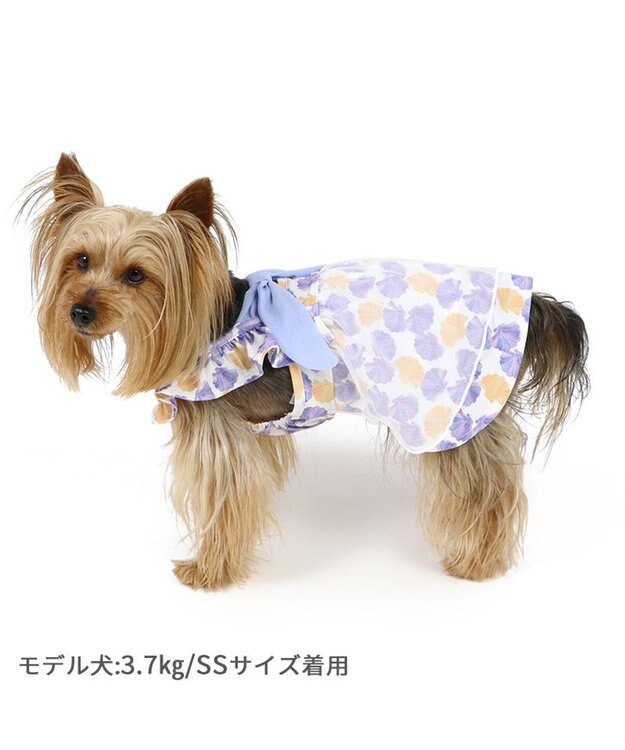 PET PARADISE ペットパラダイス エコメイド ワンピース 《貝柄 ブルー》 小型犬 ブルー