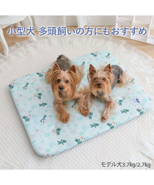 PET PARADISE リサとガスパール もちっと クール マット Ｍ 《海草柄》 ライトブルー