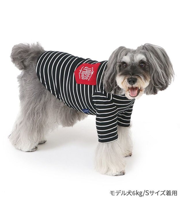 PET PARADISE J.PRESS フライス Tシャツ 《ボーダー》 小型犬 ボーダー