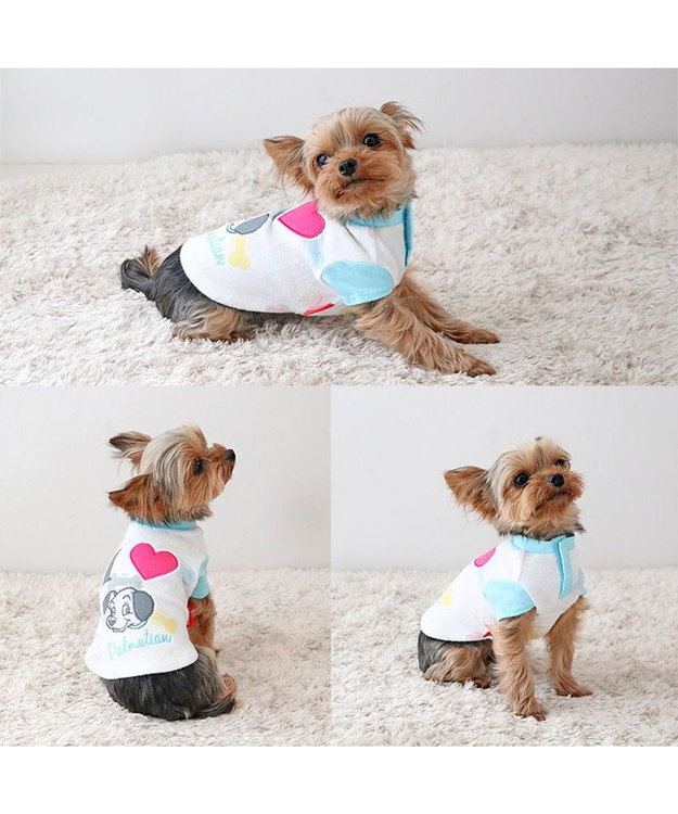 PET PARADISE ディズニー 101匹わんちゃん サーモキープ Tシャツ 《パステル》 小型犬 ホワイト