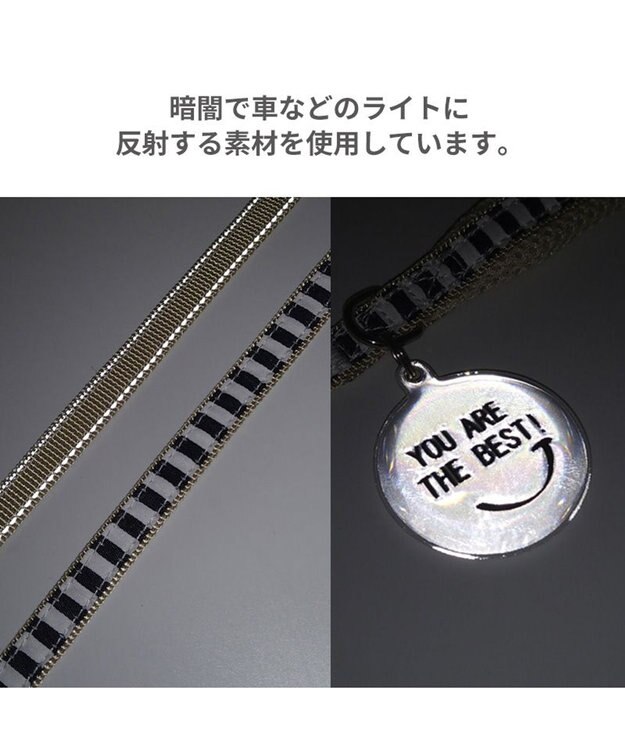 PET PARADISE 犬 リード 【４Ｓ~３Ｓ】 ボーダー 紺（ネイビー・インディゴ）