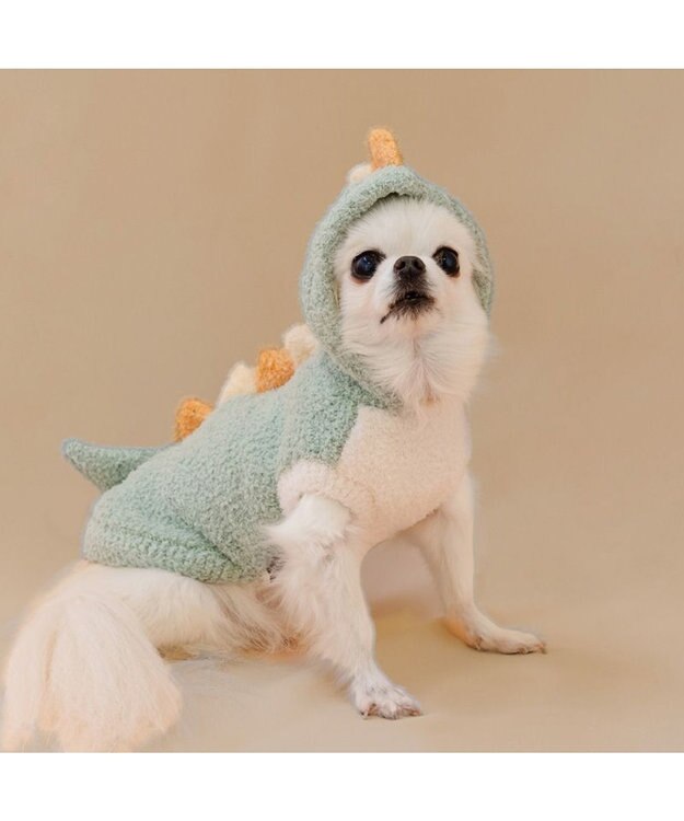 PET PARADISE ペットパラダイス ふわふわ 恐竜なりきり 小型犬 グリーン