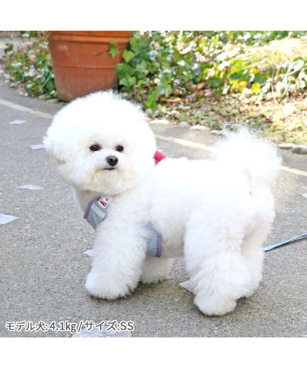 PET PARADISE ディズニー トイ・ストーリー ロッツォ マスコット付き ハーネス ３Ｓ 小型犬 ロッツォ