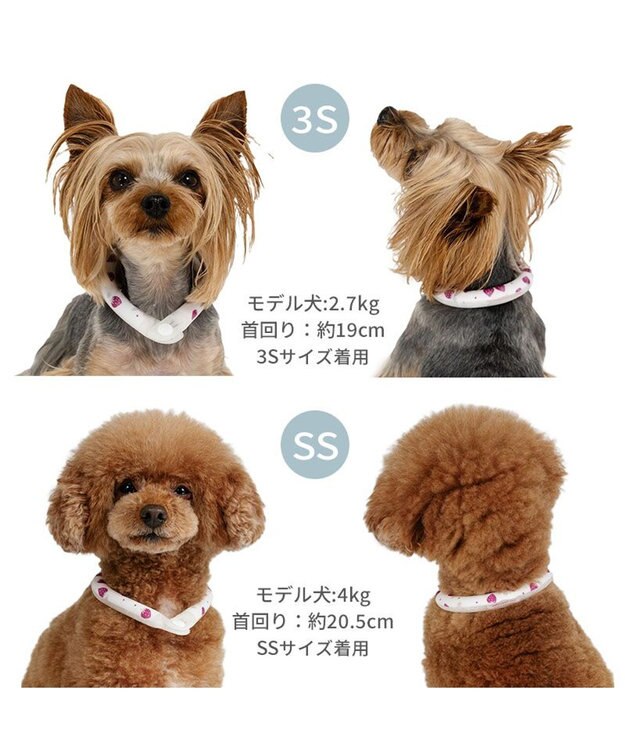 PET PARADISE ペットパラダイス 28℃クールリング  《いちご》 ＳＳ 小型犬 いちご柄