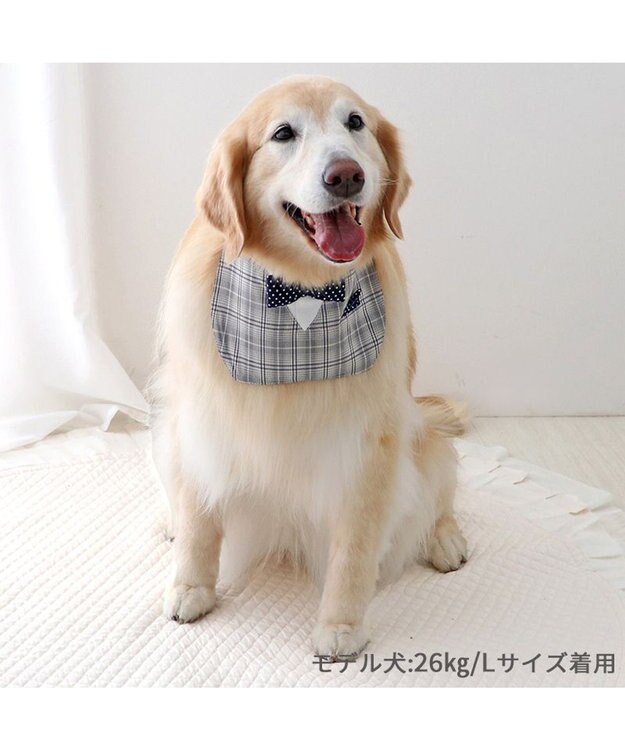PET PARADISE ペットパラダイス 蝶ネクタイ スタイ 《チェック柄》 中型犬 大型犬 チェック柄