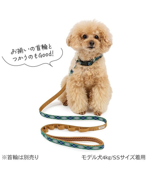 PET PARADISE ペットパラダイス チェック柄 リード ４Ｓ～３Ｓ 小型犬 グリーン