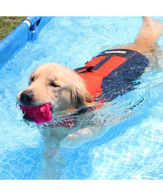PET PARADISE ペットパラダイス ライフベスト 【Ｌ】 《オレンジ》 オレンジ