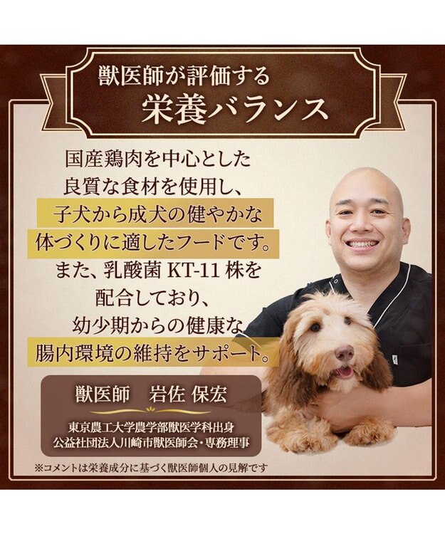PET PARADISE ペットパラダイス ドッグフード ビオキッチン 3kg 国産 -