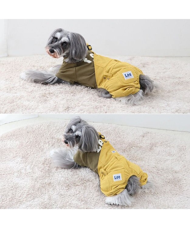 PET PARADISE Lee ワンショルダーパンツつなぎ  小型犬 グリーン