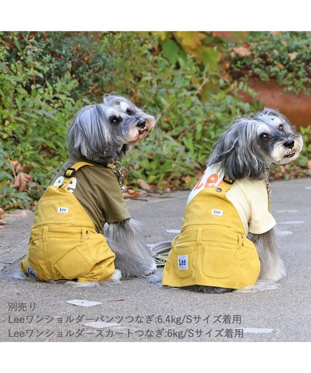 PET PARADISE Lee ワンショルダーパンツつなぎ  小型犬 グリーン