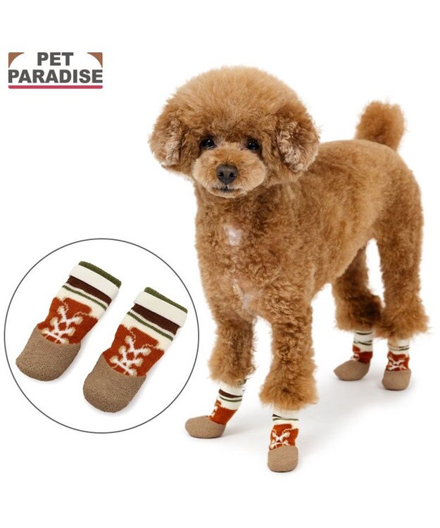 PET PARADISE ペットパラダイス ボーダー フィット靴 Ｓ レッド×ベージュ