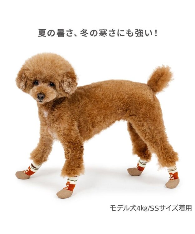 PET PARADISE ペットパラダイス ボーダー フィット靴 Ｓ レッド×ベージュ
