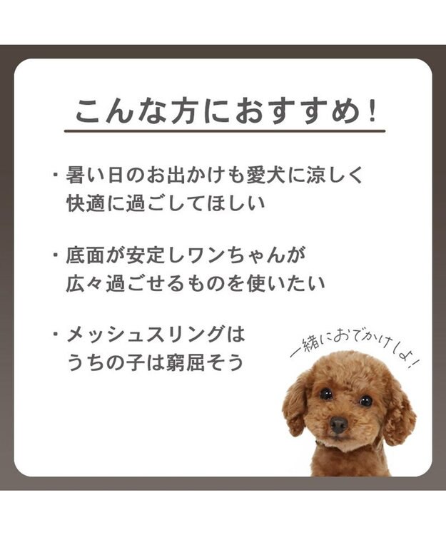 PET PARADISE スヌーピー メッシュトート キャリーバック 《グレー》 Ｍ 小型犬 グレー