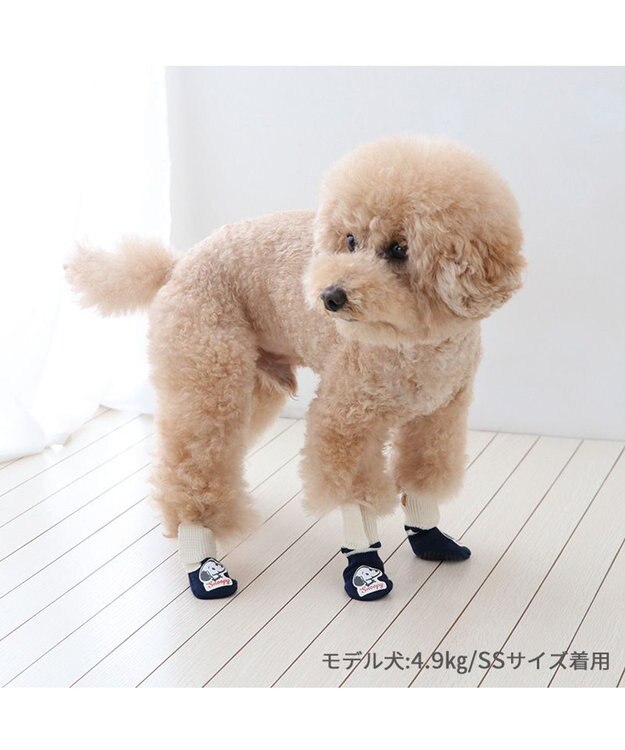 PET PARADISE スヌーピー makokoro スリット 靴下  ＳＳ 小型犬 紺(ネイビー・インディゴ)