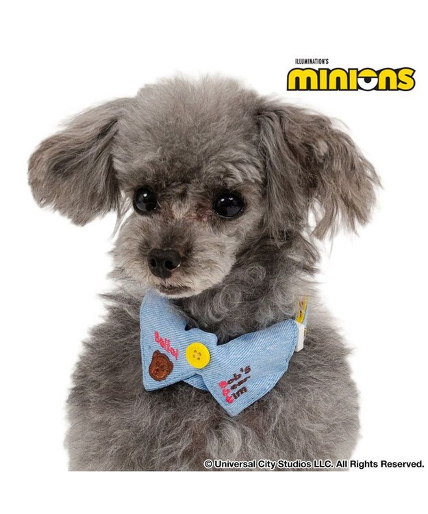 PET PARADISE ミニオン デニム襟付き首輪 ＳＳ ブルー