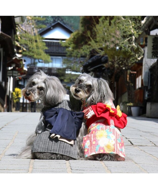 PET PARADISE ペットパラダイス 浴衣 《菊柄》 小型犬 菊柄
