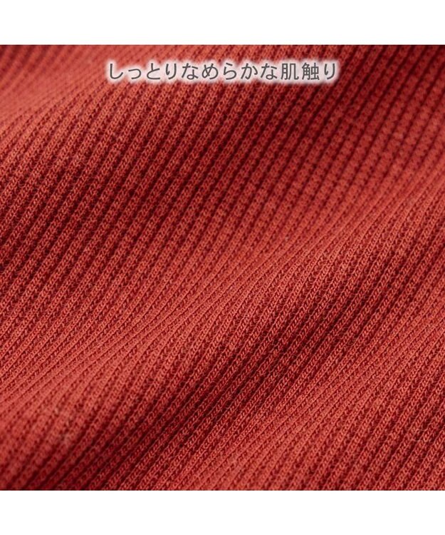 PET PARADISE ペットパラダイス  プレミアム ぺティヒート スキッパーＴシャツ 小型犬 レッド