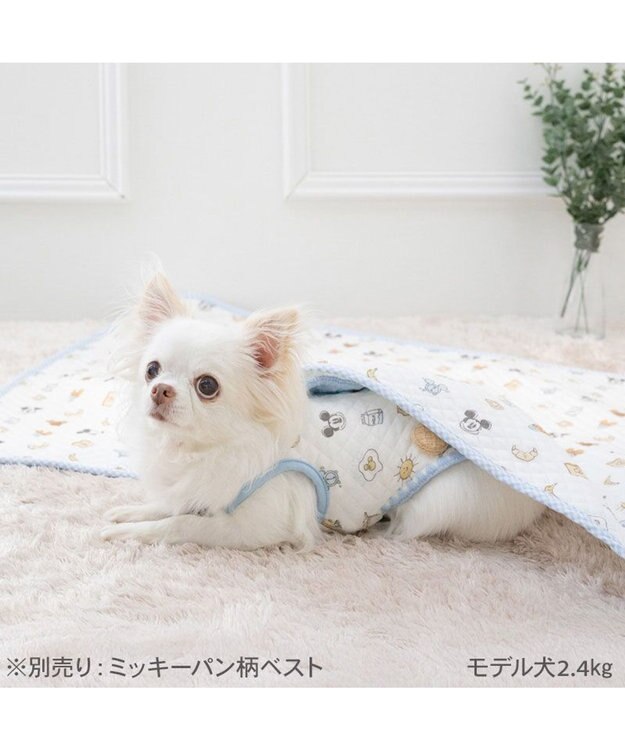 PET PARADISE ディズニー ミッキーマウス ブランケット 《パン柄》 ホワイト