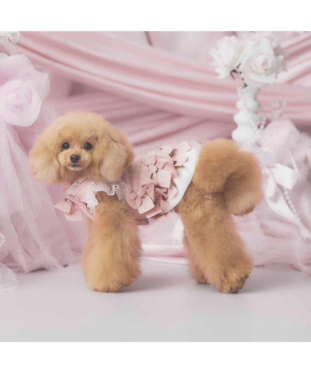 PET PARADISE cherircouture ヘムリボンツイードベスト 《ピンク》 小型犬 ピンク