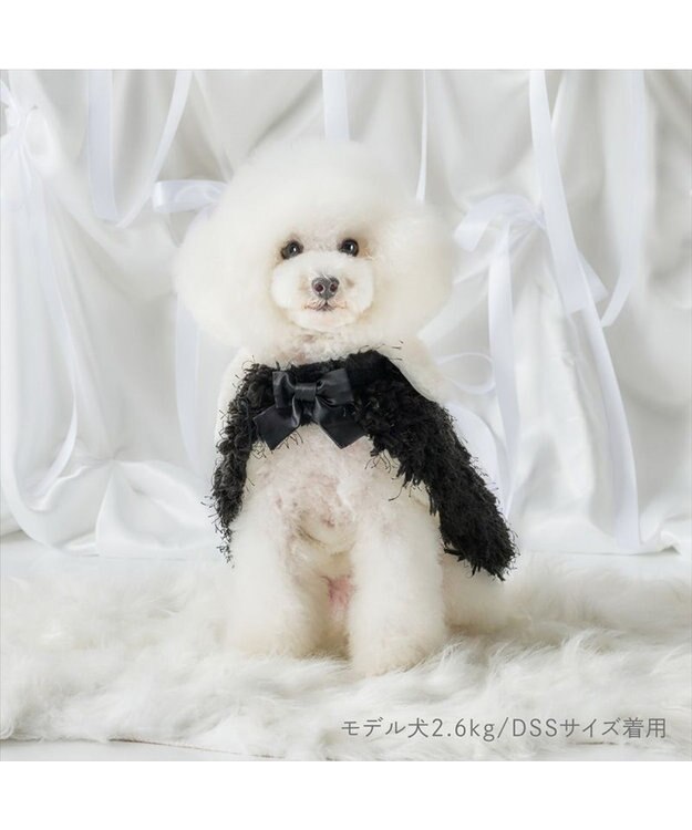 PET PARADISE cherircouture ドットリボン ポンチョ 《ブラック》 小型犬 ブラック