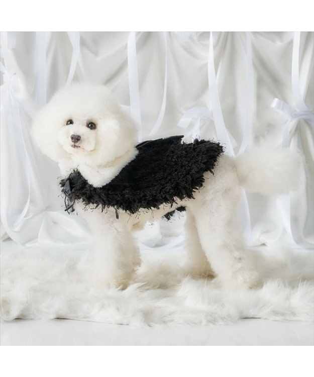 PET PARADISE cherircouture ドットリボン ポンチョ 《ブラック》 小型犬 ブラック