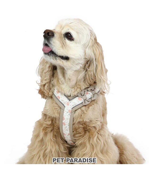 PET PARADISE 反射 花柄 アクティブハーネス 【ＳM】中型犬 茶系