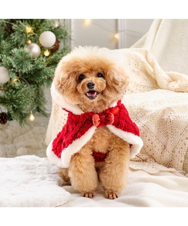 PET PARADISE ペットパラダイス サンタ ポンチョ 2025 小型犬 レッド
