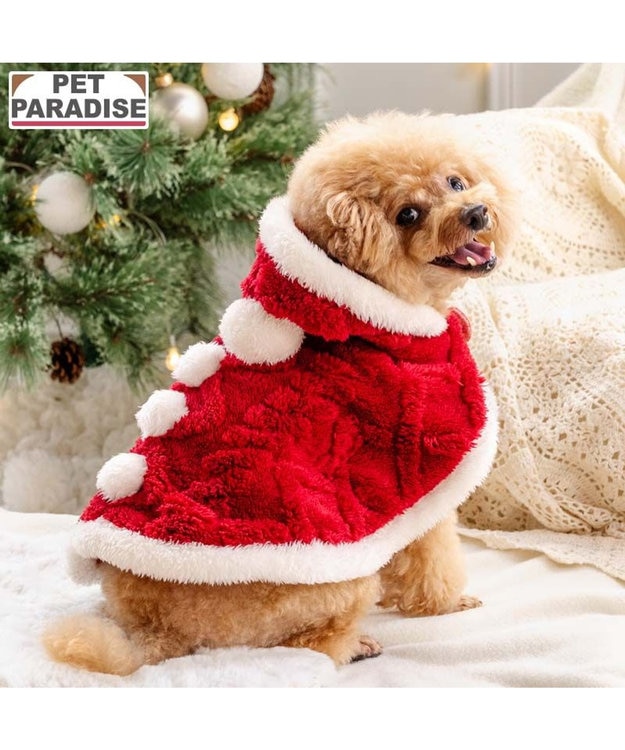 PET PARADISE ペットパラダイス サンタ ポンチョ 2025 小型犬