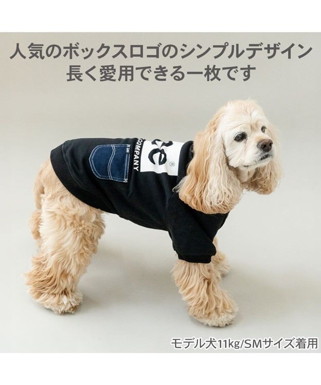 PET PARADISE Lee ボックスロゴ トレーナー ブラック 中型犬 ブラック